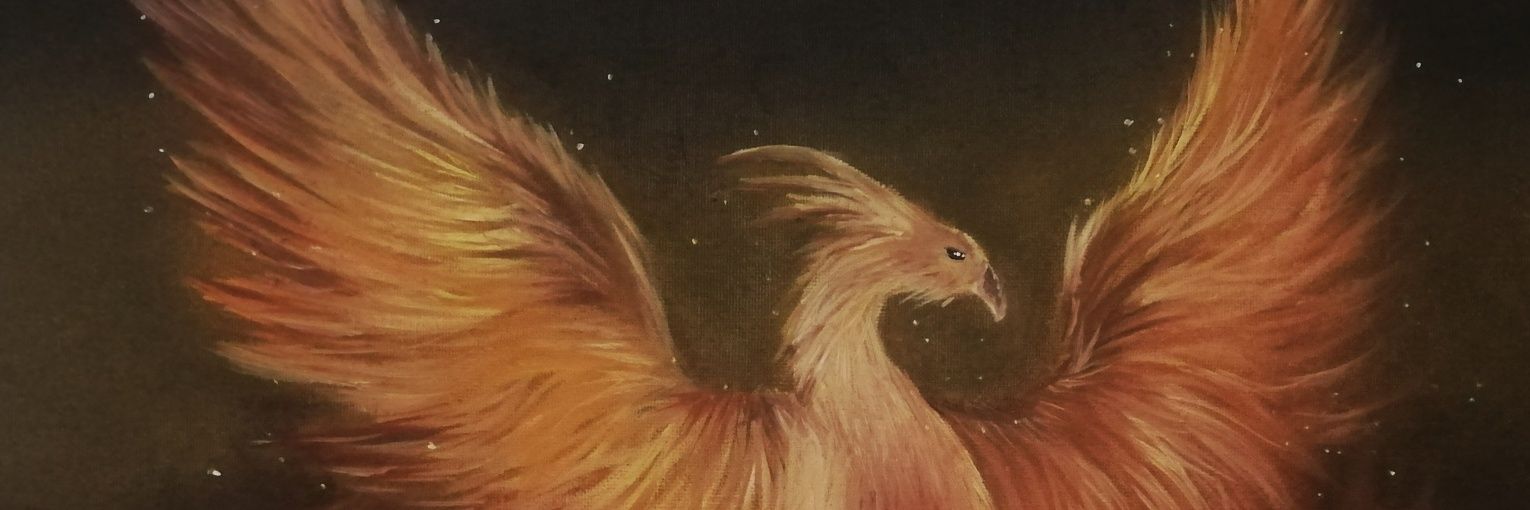 Murtiᴮᴶᴷ‏ ོ banner