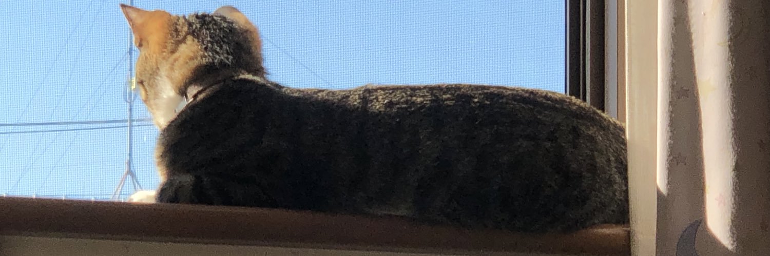 kochan1134's profile banner image