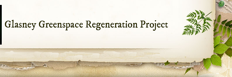 Glasney Greenspace banner