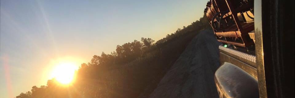 AlfordWhitney's profile banner image