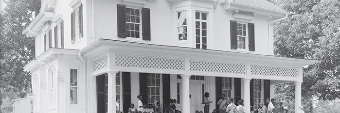 Tara White banner