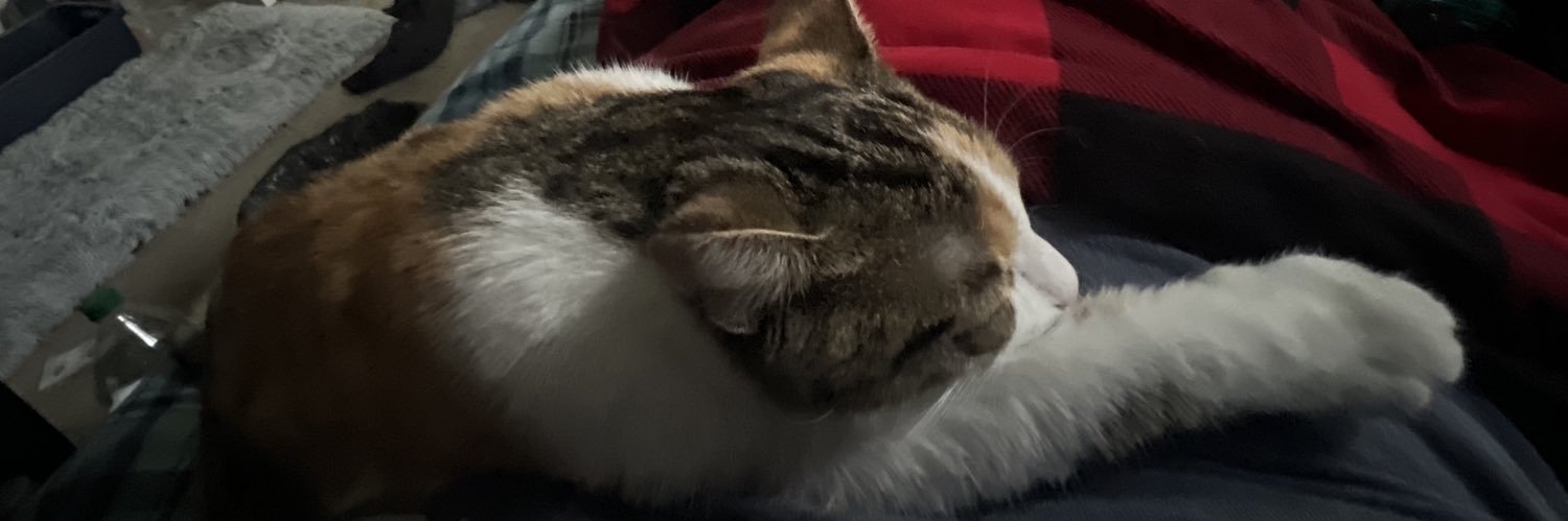 EmilyJean_16's profile banner image