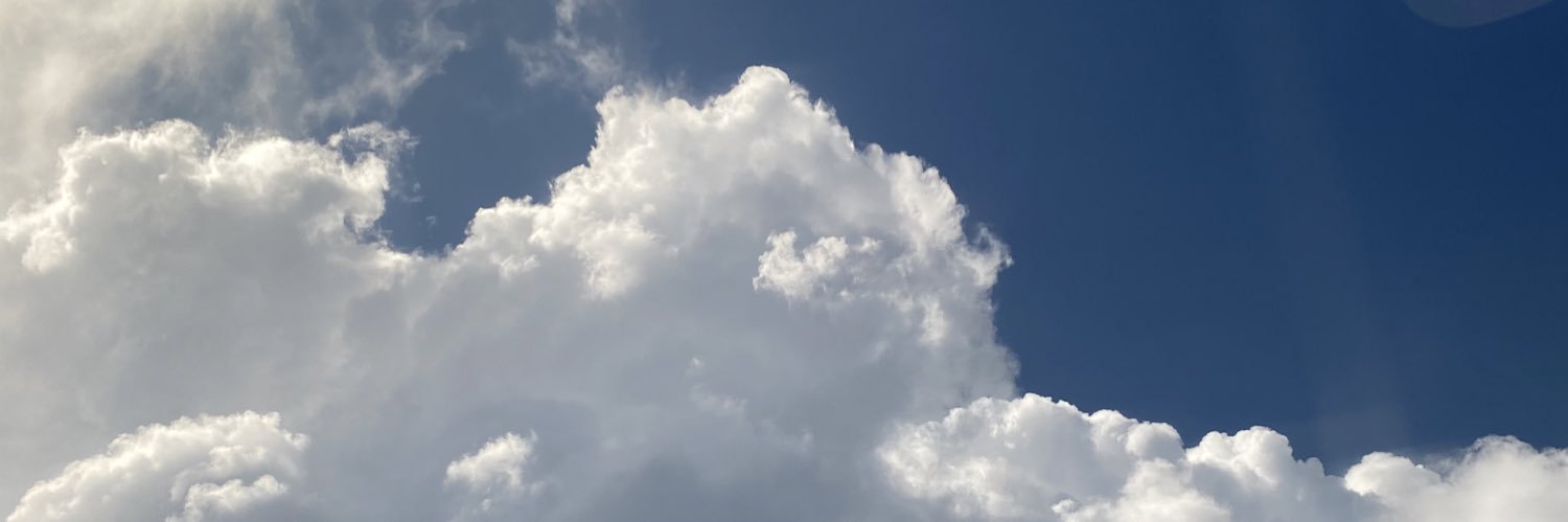 DanFlowers8's profile banner image
