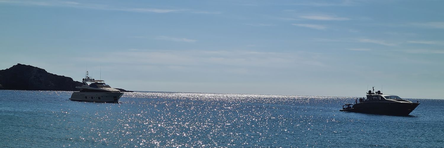 shellwellies's profile banner image