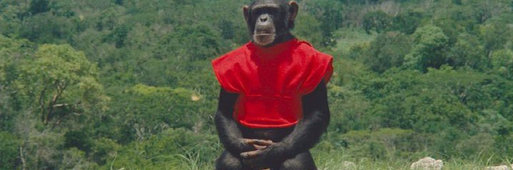 Coloraditus ♌✵ banner