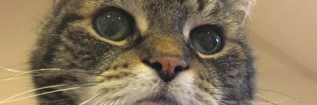 PatrickDugan20's profile banner image