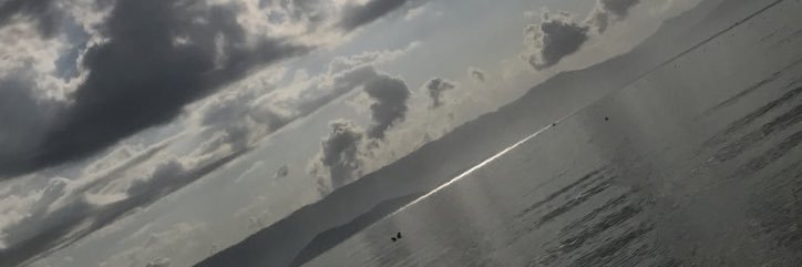 laura_moss97's profile banner image
