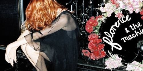 Raquel_Grohl's profile banner image