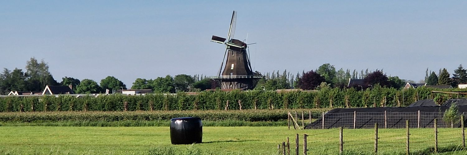 Ethel Rood🌺 🇳🇱 🐈‍⬛ banner