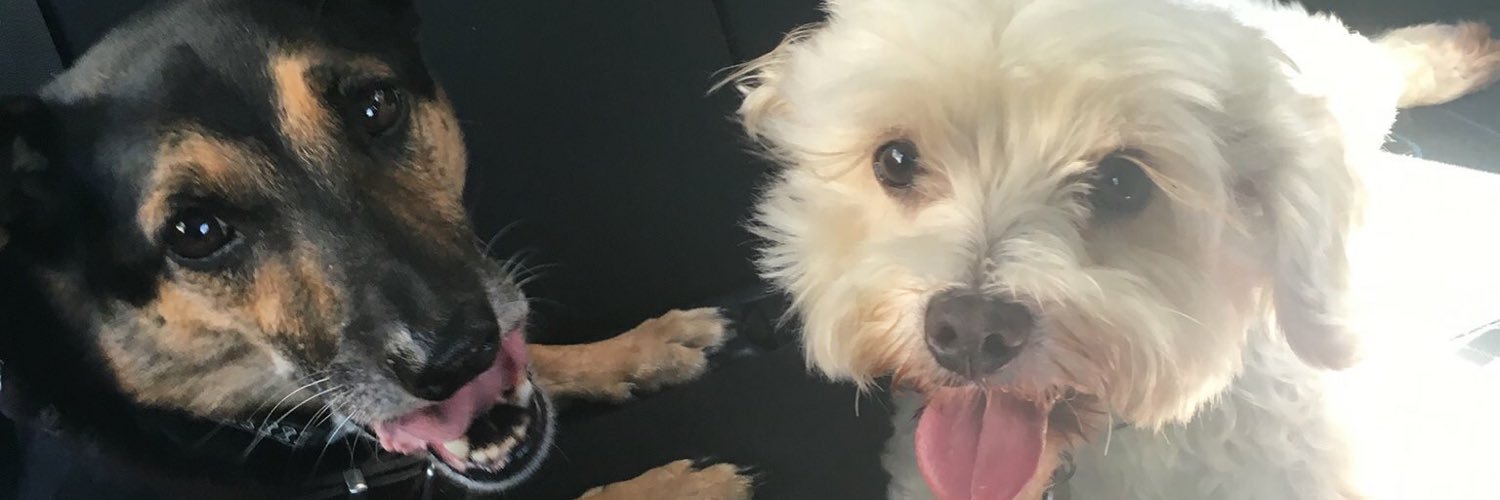 scottb018's profile banner image