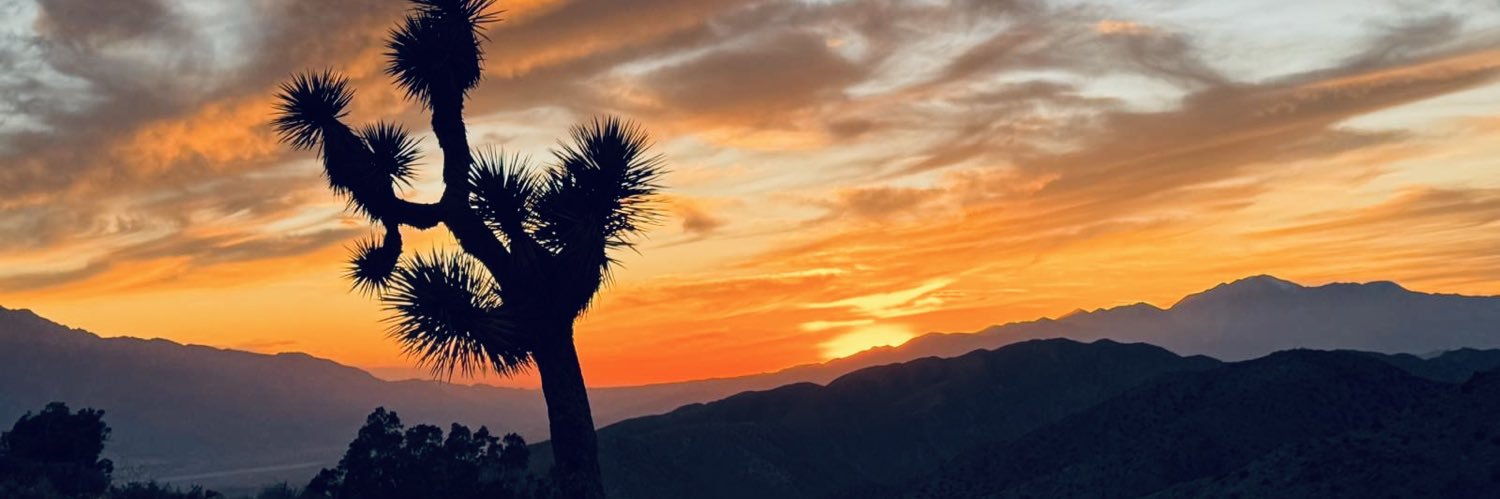ShuchiGulati's profile banner image