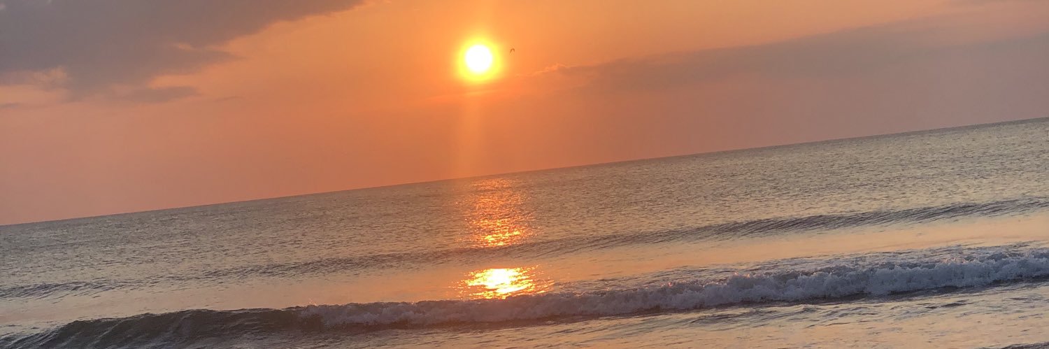 JuliaBollini's profile banner image