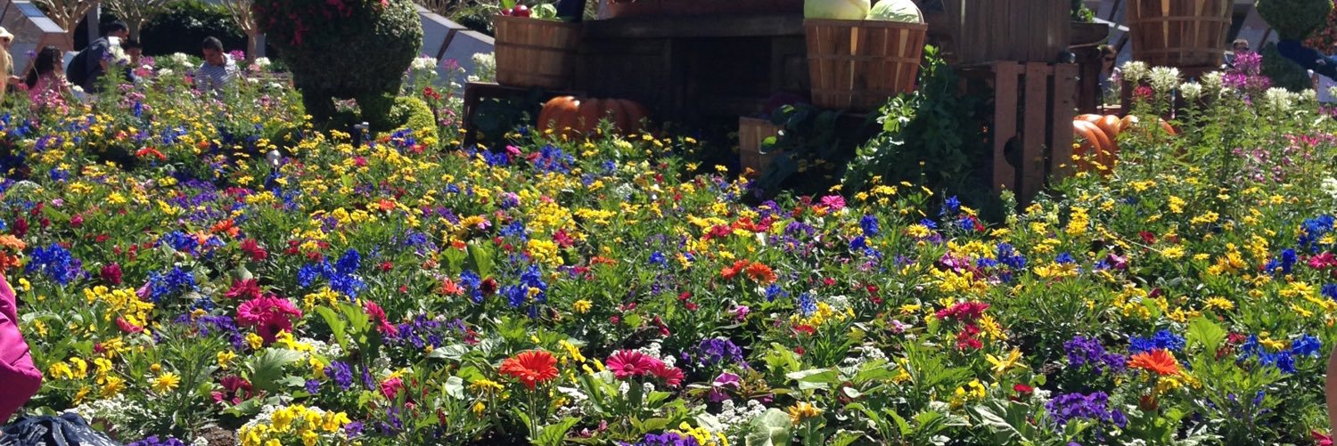 Lindsey Sanders banner