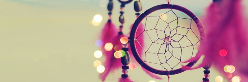 Anja banner