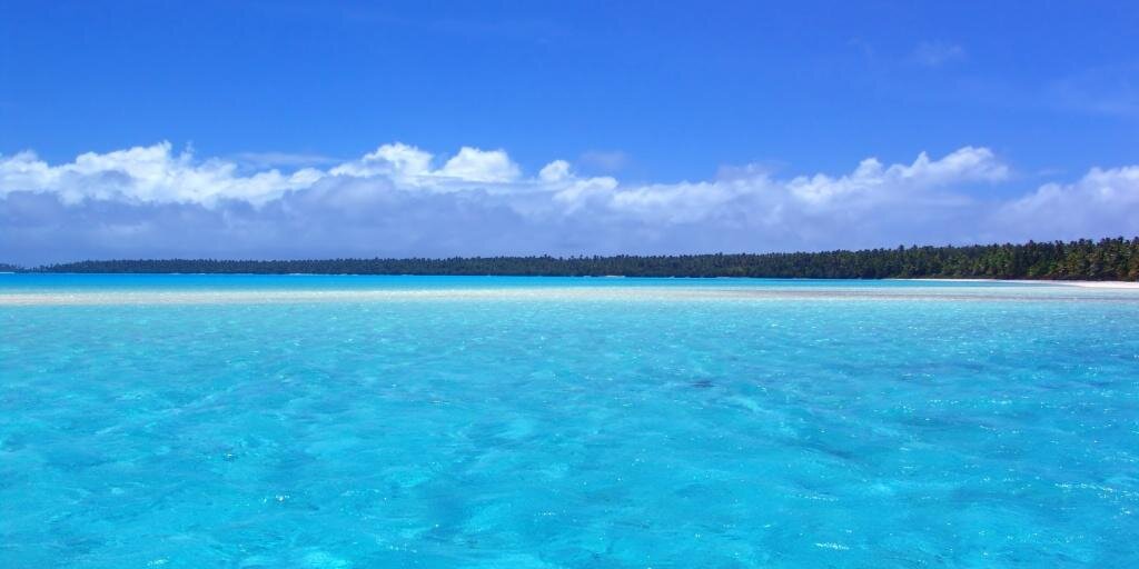 elquedijono's profile banner image