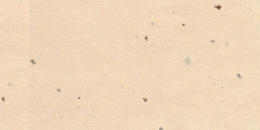 findthetruth655's profile banner image