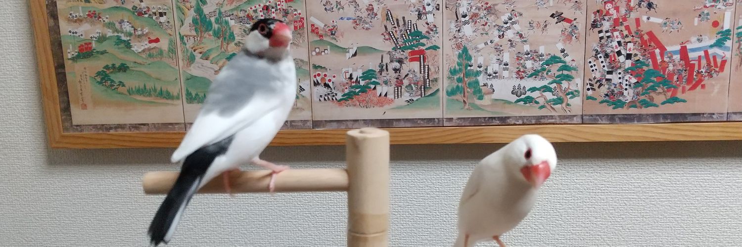 ruuusako's profile banner image
