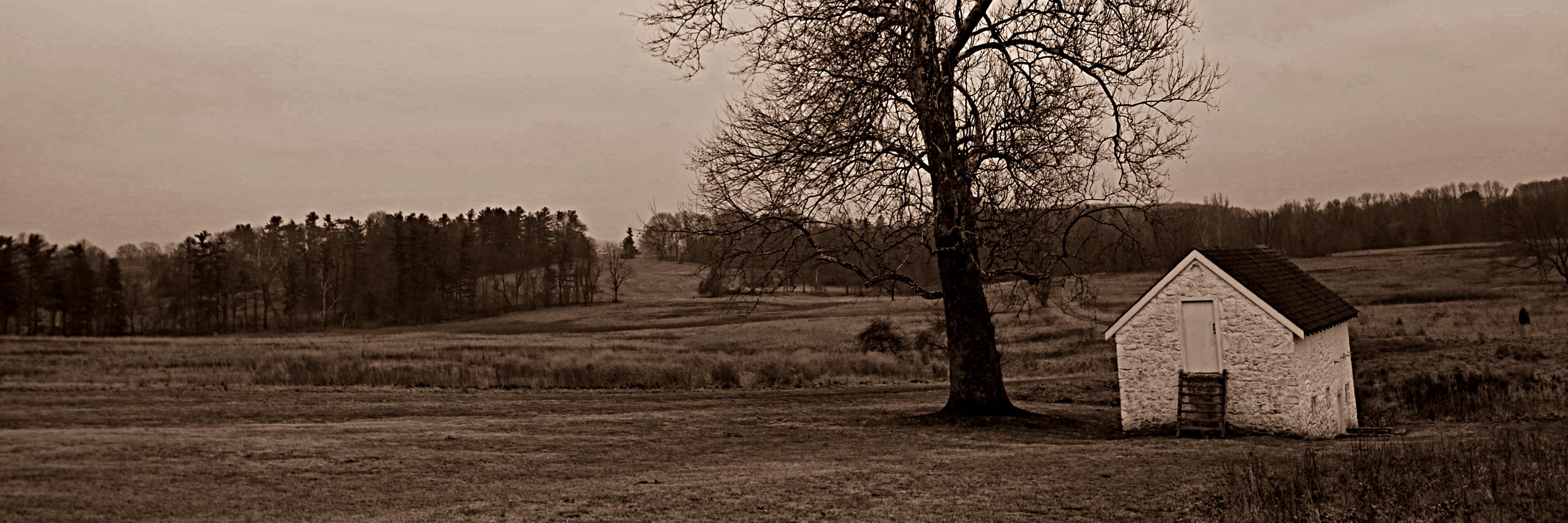 Corwag's profile banner image
