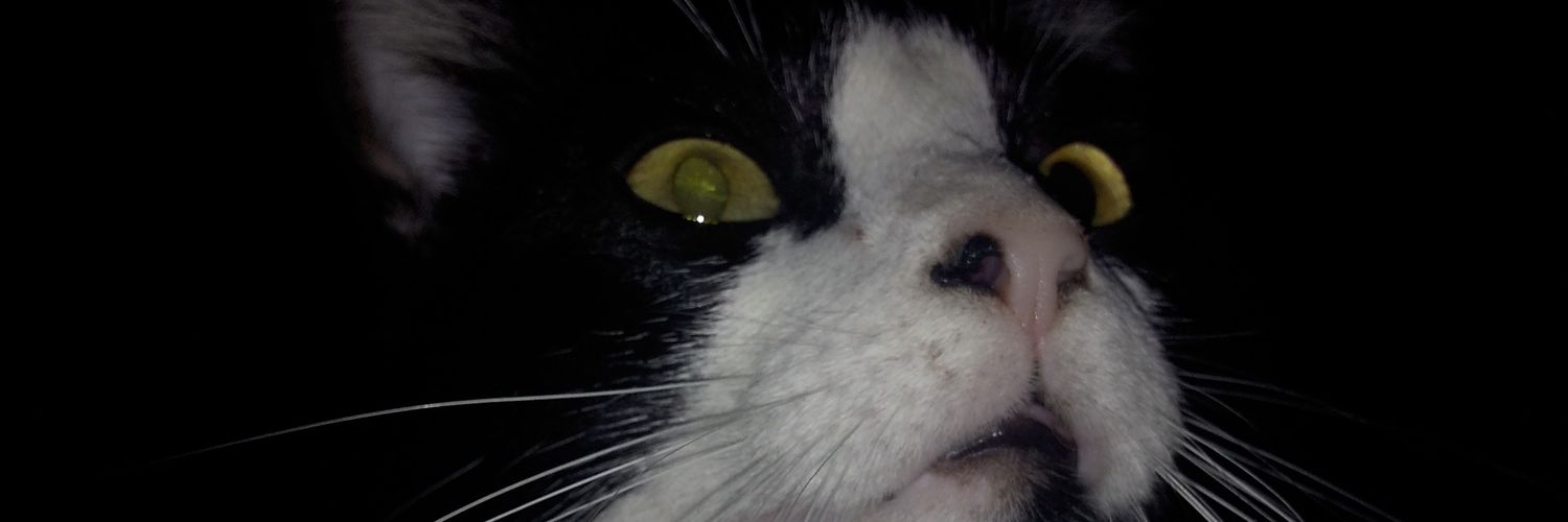 robsonsansouza's profile banner image