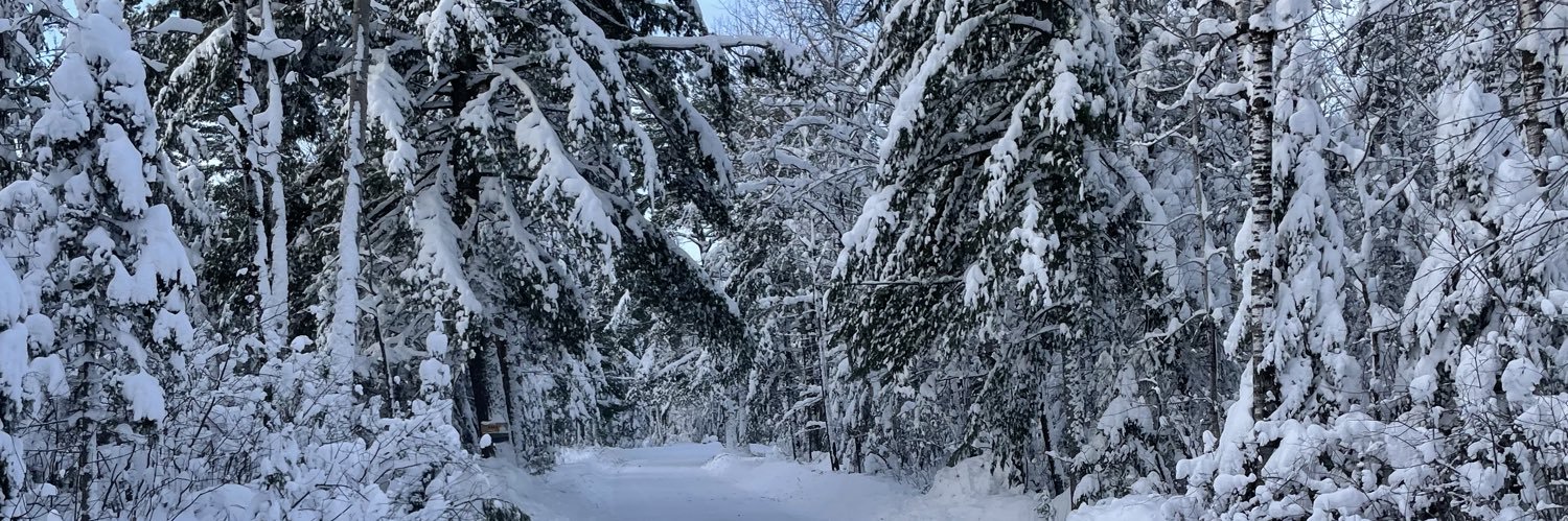 Sheriff Gordon Ramsay banner