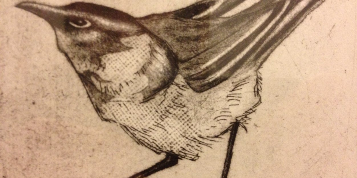 McfeatT's profile banner image