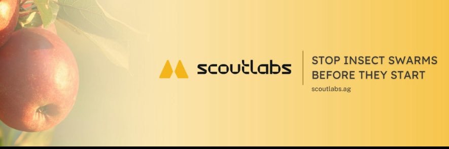 Donat Posta 🍩🏤 banner