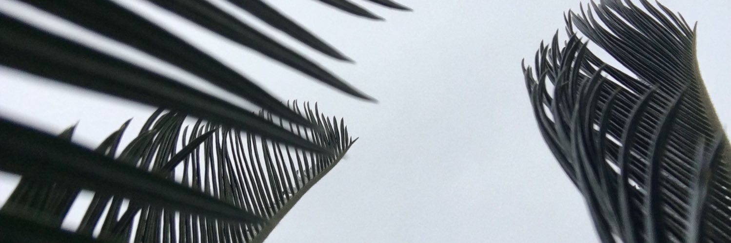 Sierra Stoltzfus banner