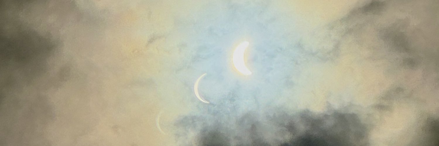 annalisily's profile banner image