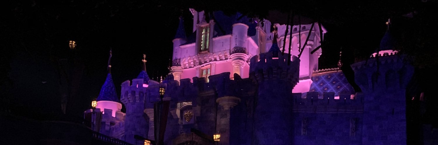zwirlee's profile banner image