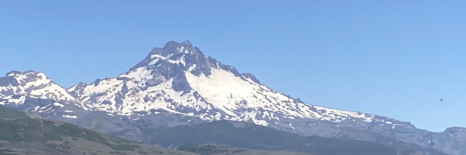 Sofía Valenzuela Águila 🌳 banner