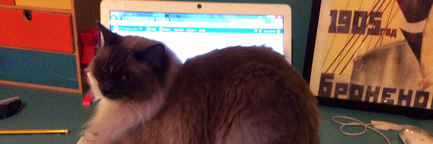 missmcflossy's profile banner image