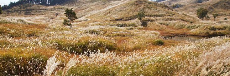 G0DSCH3RRY's profile banner image