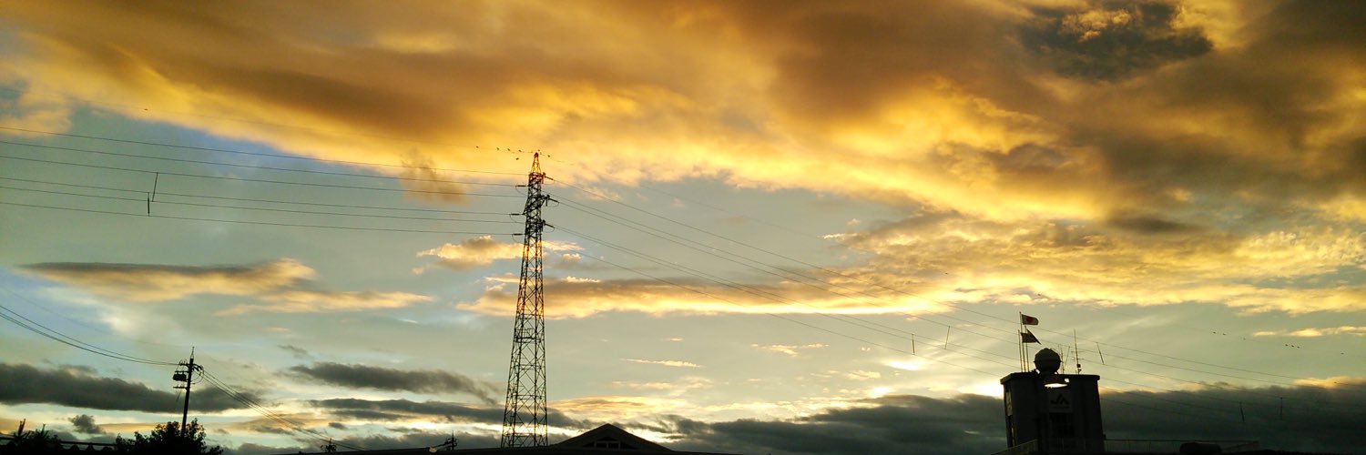 taropyonn's profile banner image