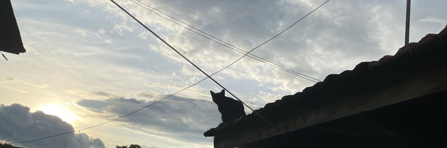 jvbrandalise's profile banner image