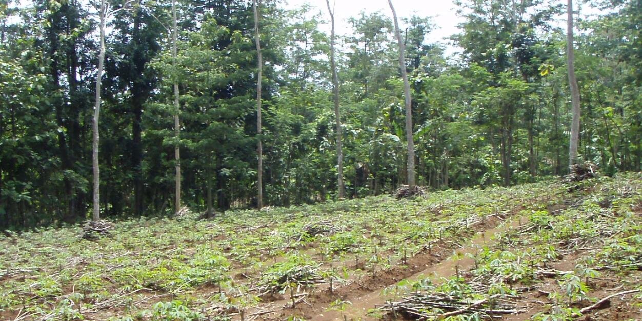 GREEN 4 FUTURE banner