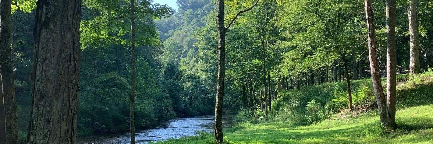 Aaron Loring Davis banner