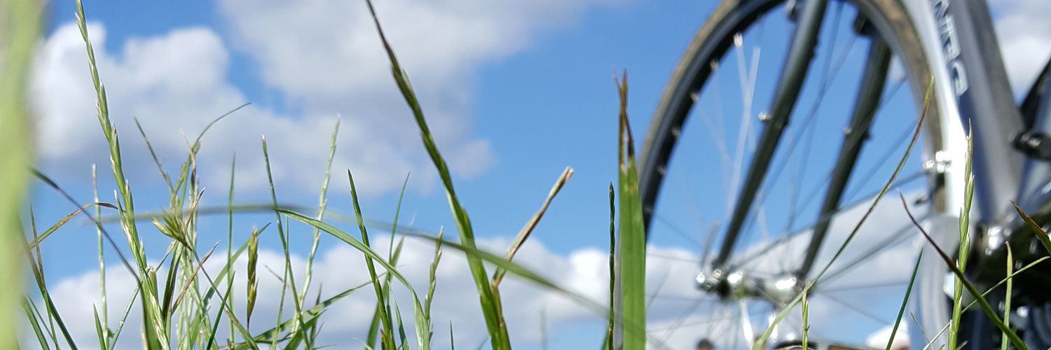 PatColliety's profile banner image