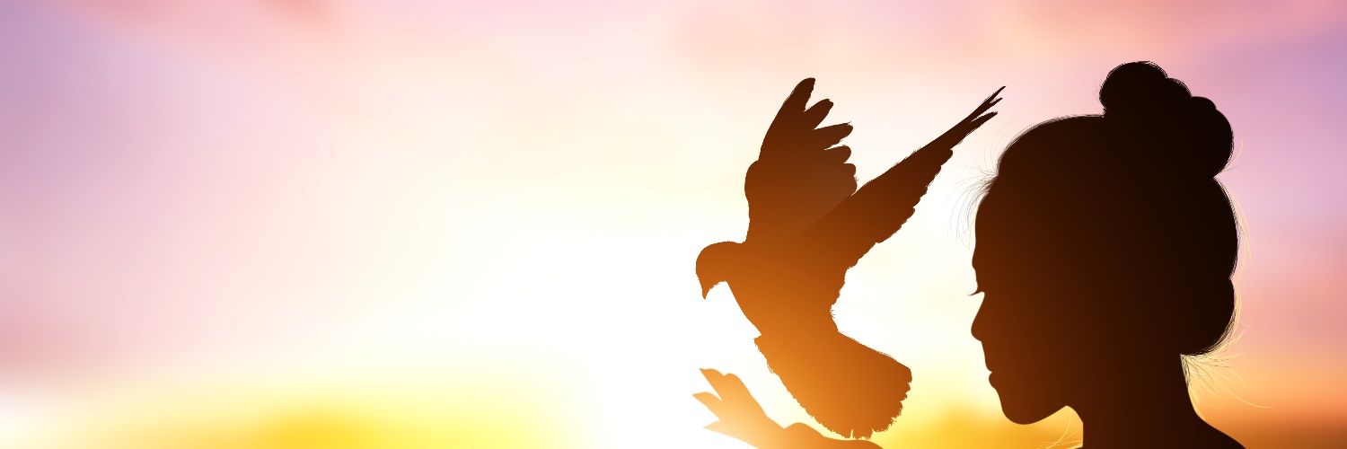 DianeBertolin's profile banner image