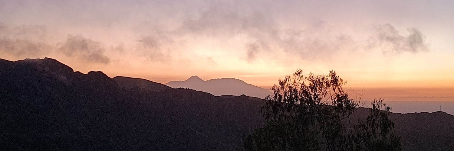 Delphine Scheerens banner