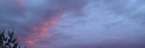 buttakekse's profile banner image