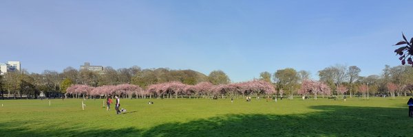 KiaNazarpour Profile Banner