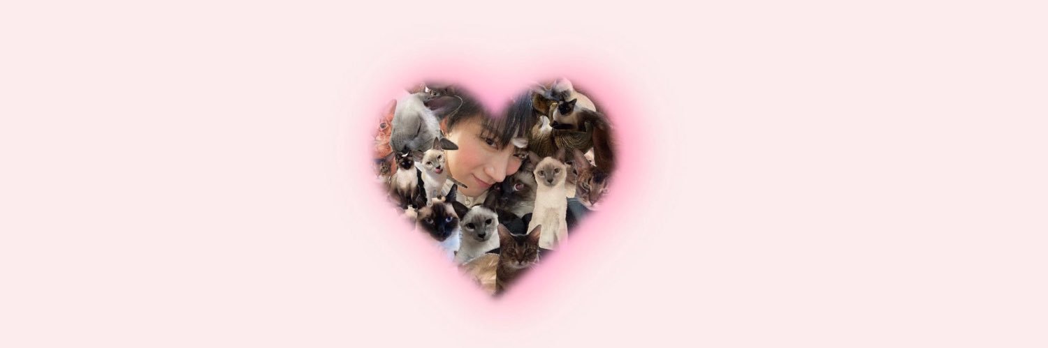 พพ ⋆｡✿ ˚ banner