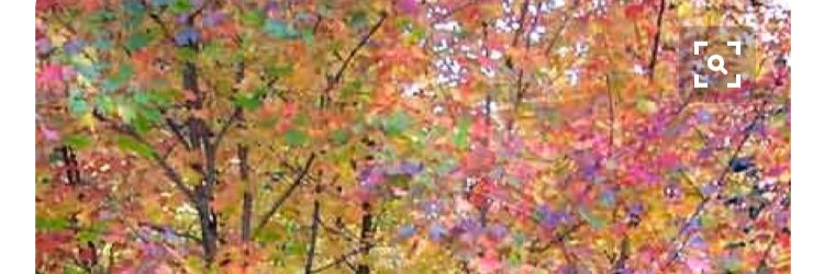 patmxrt's profile banner image