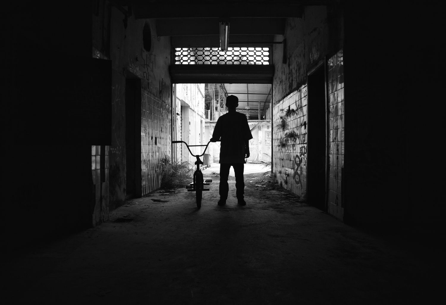felipeperregil1's profile banner image