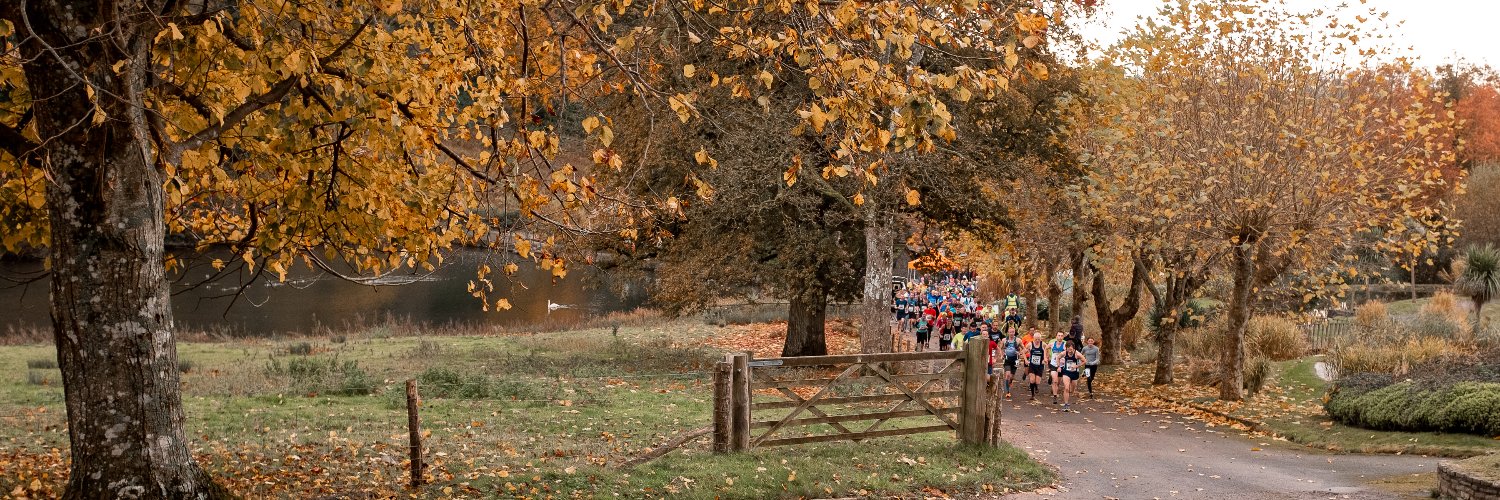 RaceNation Events banner