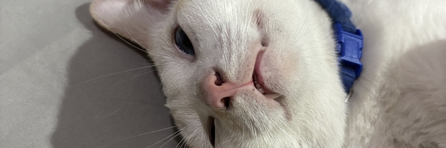 Matheus Olen 😍 banner