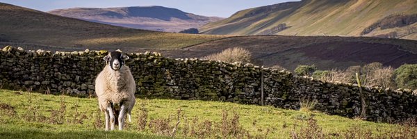 MarisaCashill Profile Banner