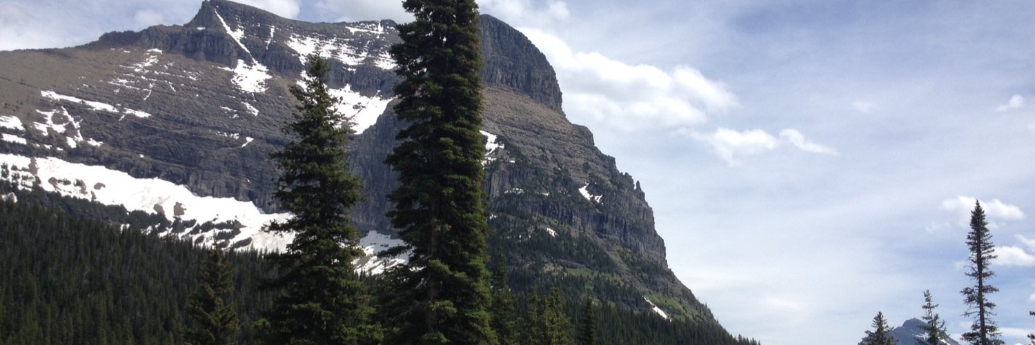 leafyanalise's profile banner image