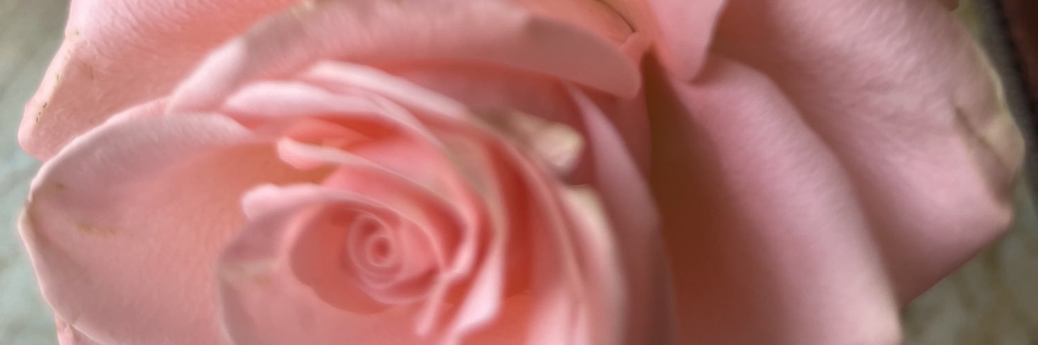 diane_arase's profile banner image