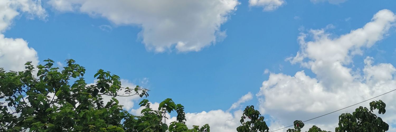 gruzhenka_'s profile banner image